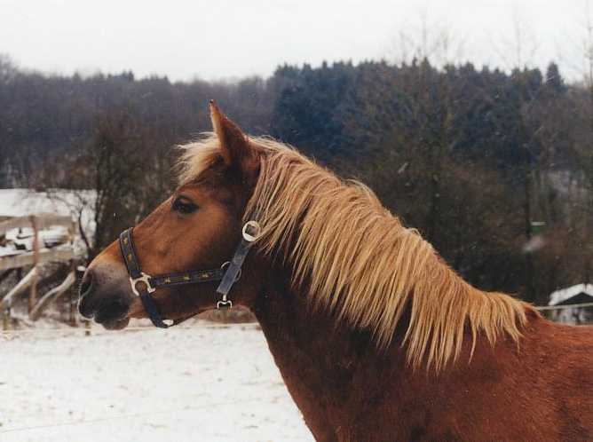 Winter Rowe 990029_WEB02