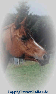 Copyright www.hadban.de