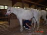 Dsc00010_WEB